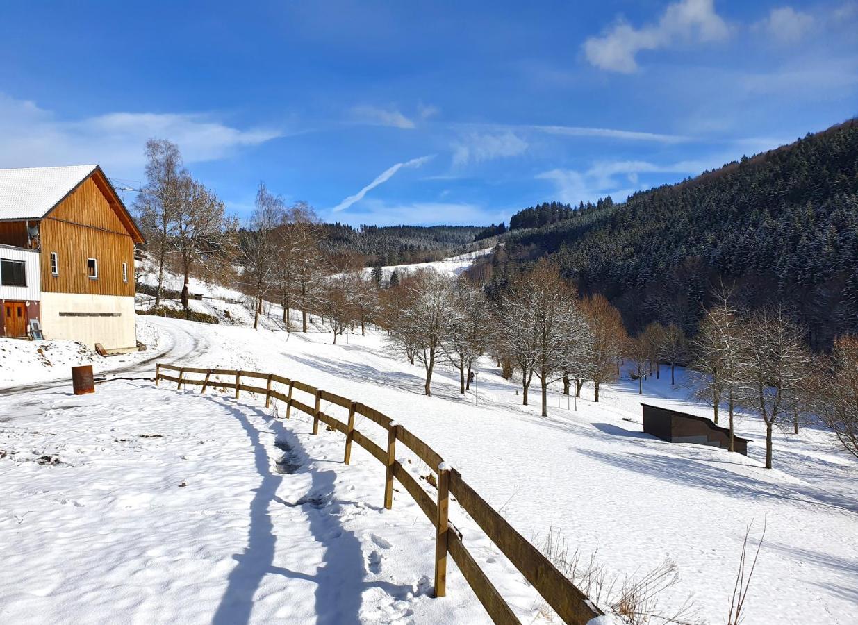 Ferienhaus Grimme - 350M2, 18 Betten - Mit Indoorspielplatz, Pool, Grosser Terrasse, Grill, Sauna, Kicker, Dart, Uvm - Ideal Fuer Familien Schmallenberg Exteriör bild