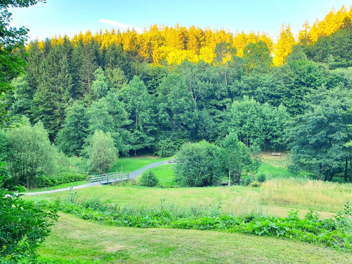Ferienhaus Grimme - 350M2, 18 Betten - Mit Indoorspielplatz, Pool, Grosser Terrasse, Grill, Sauna, Kicker, Dart, Uvm - Ideal Fuer Familien Schmallenberg Exteriör bild