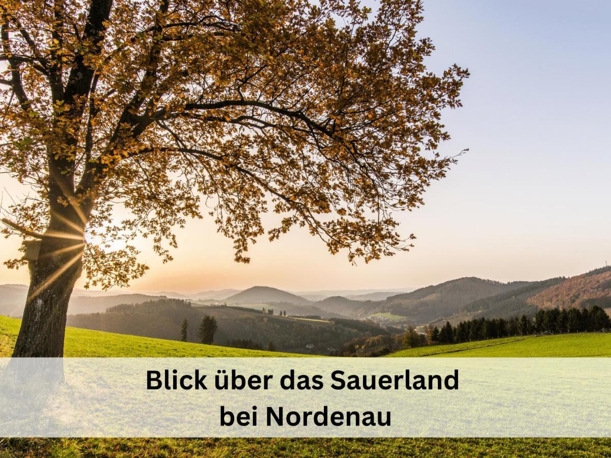 Ferienhaus Grimme - 350M2, 18 Betten - Mit Indoorspielplatz, Pool, Grosser Terrasse, Grill, Sauna, Kicker, Dart, Uvm - Ideal Fuer Familien Schmallenberg Exteriör bild