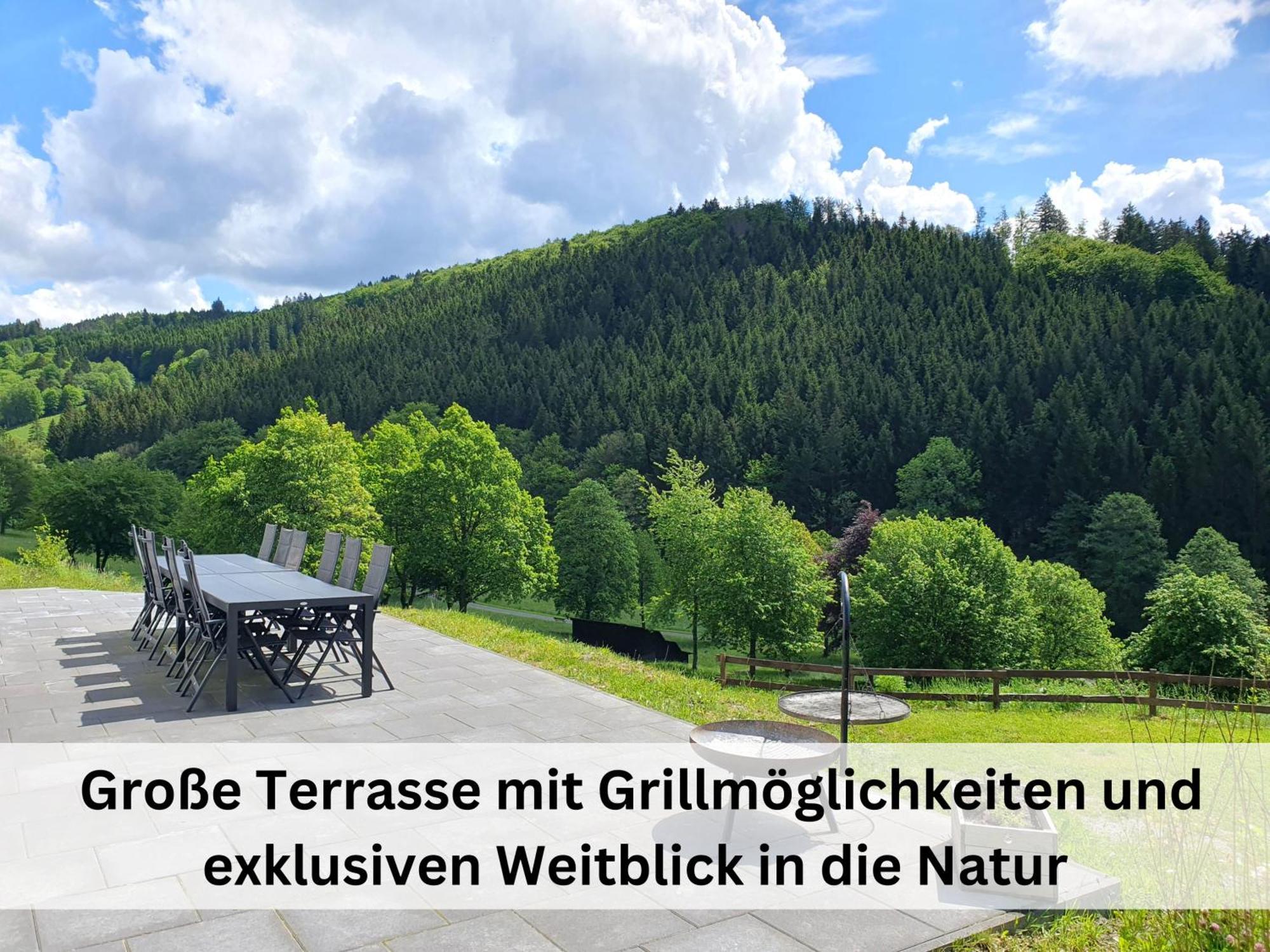Ferienhaus Grimme - 350M2, 18 Betten - Mit Indoorspielplatz, Pool, Grosser Terrasse, Grill, Sauna, Kicker, Dart, Uvm - Ideal Fuer Familien Schmallenberg Exteriör bild