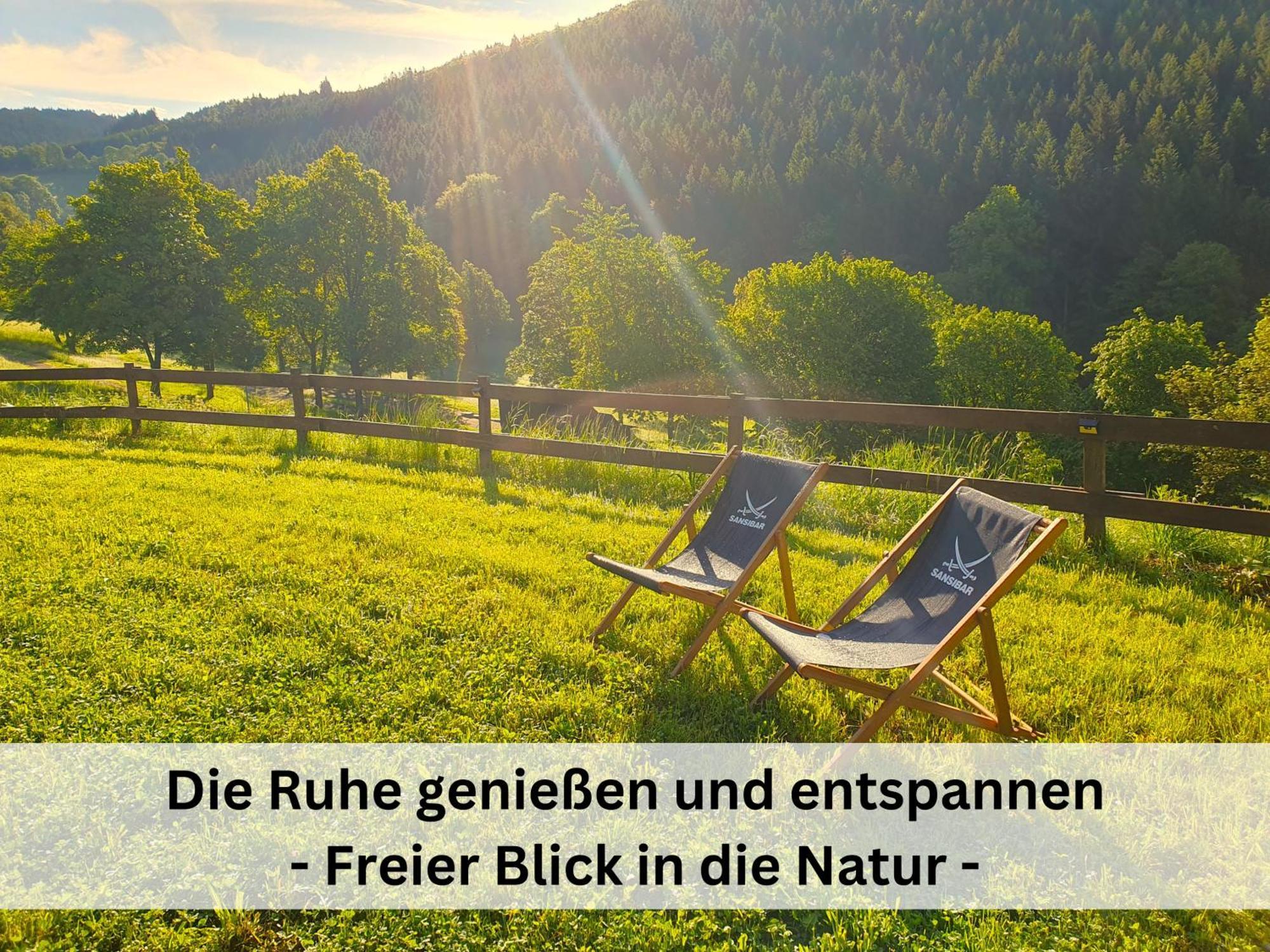 Ferienhaus Grimme - 350M2, 18 Betten - Mit Indoorspielplatz, Pool, Grosser Terrasse, Grill, Sauna, Kicker, Dart, Uvm - Ideal Fuer Familien Schmallenberg Exteriör bild