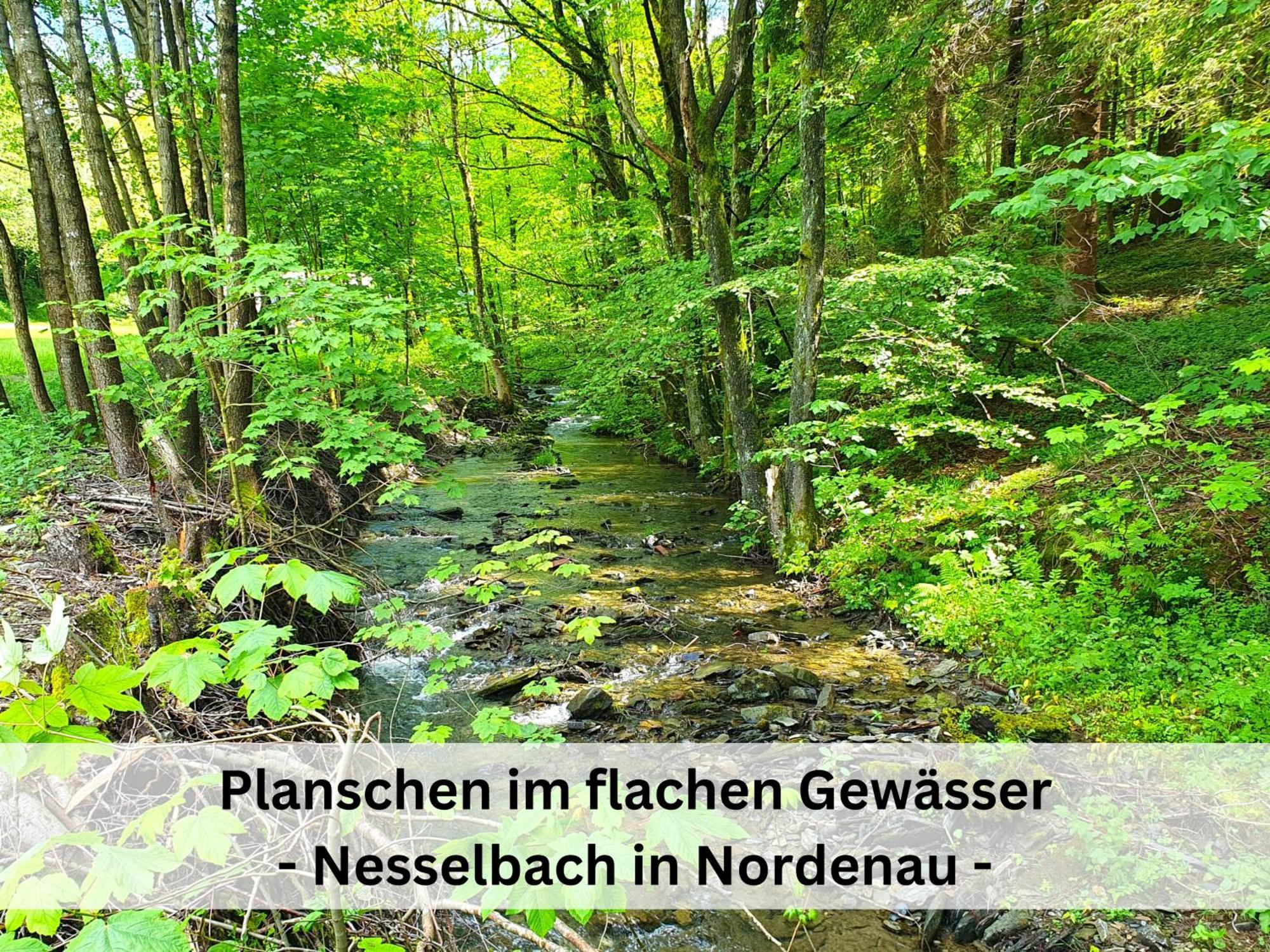 Ferienhaus Grimme - 350M2, 18 Betten - Mit Indoorspielplatz, Pool, Grosser Terrasse, Grill, Sauna, Kicker, Dart, Uvm - Ideal Fuer Familien Schmallenberg Exteriör bild